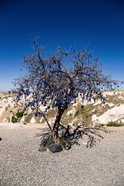 Cappadocia, Turkey. "Wish Tree" decorated Turkish charms against the evil eye — Stock Photo, Image