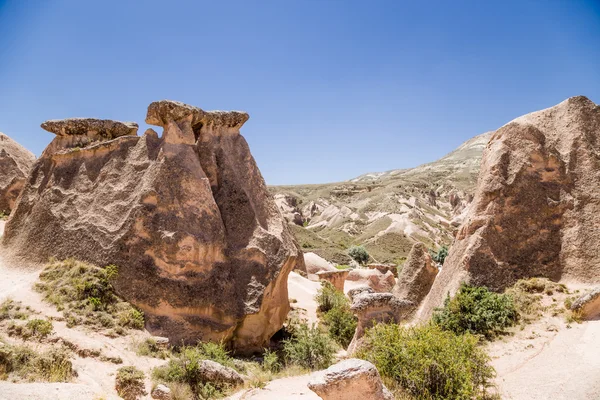 Capadocia, Turquía. Rocas en el valle de Devrent — Foto de Stock