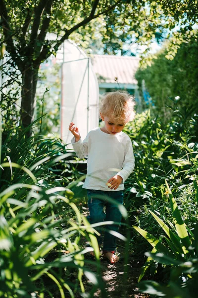 Şirin sarışın çocuk bahçede yürüyor..