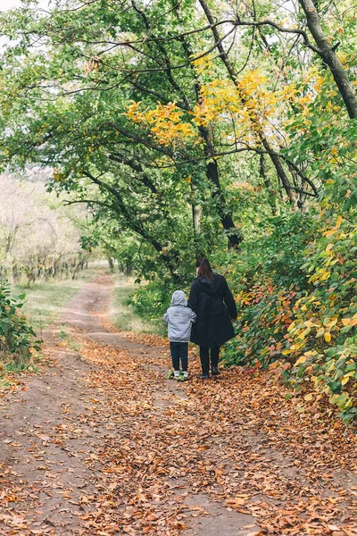 아름다운 가을에 나무와 형형색색의 잎들과 밖에서의 활동으로 아이가 스쿠터를 — 스톡 사진