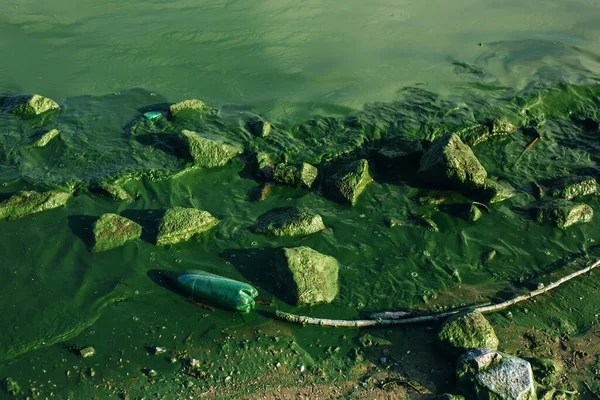 Green Dirty River Surface Rocks Algal Blooms Plastic Garbage Bottles — Stock Photo, Image