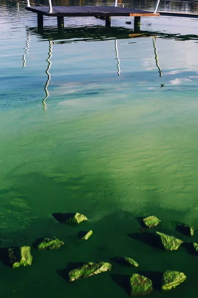 Vertical Landscape River Water Algal Blooms Rocks Reflection Wooden Pier — Stock Photo, Image