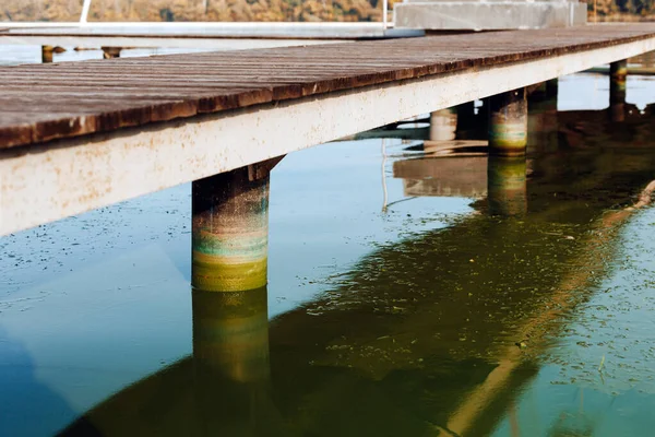 River Water Surface Harmful Algal Blooms Colored Columns Wooden Pier — Stock Photo, Image