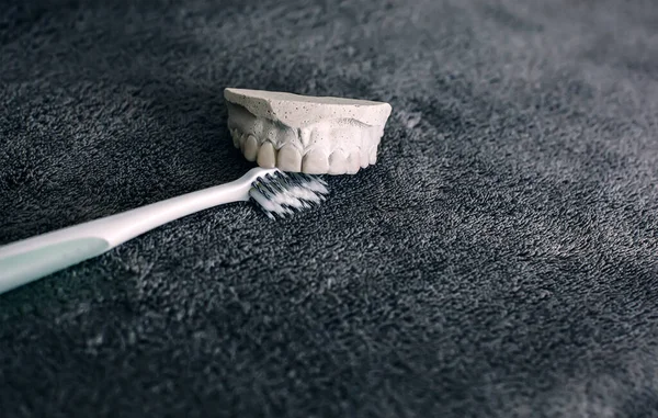 Modelo Registro Mandíbula Yeso Con Cepillo Dientes Plástico Fondo Gris —  Fotos de Stock