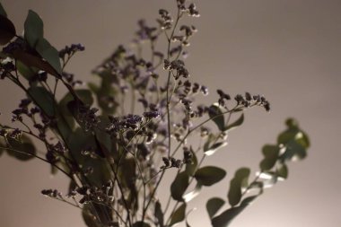 Bir buket pembe ve yeşil kurumuş çiçek ve yapraklar duvarda arka plan, akşam ışığı, ev dekorasyonu