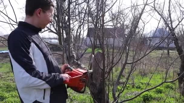 Mladý Dřevorubec Ochranných Brýlích Řez Starý Kmen Stromu Větve Oranžovou — Stock video