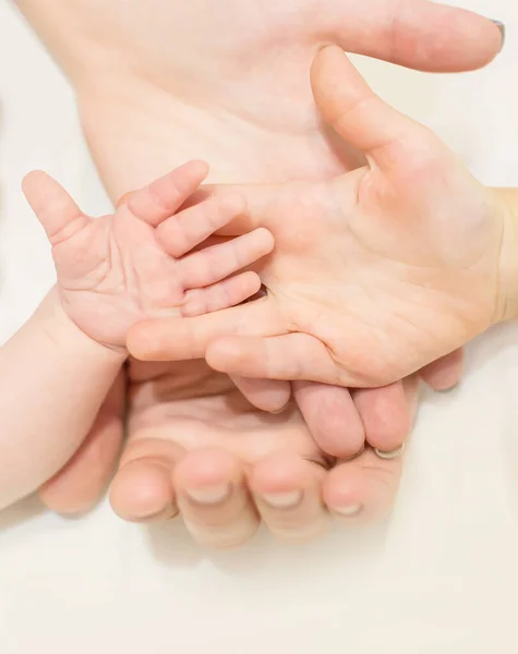 Vier Familie Handpalmen Witte Geïsoleerde Achtergrond Moeder Vader Twee Kinderen — Stockfoto
