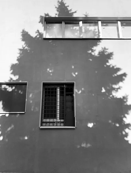 Façade Bâtiment Avec Ombre Sapin Jour Ensoleillé Noir Blanc — Photo