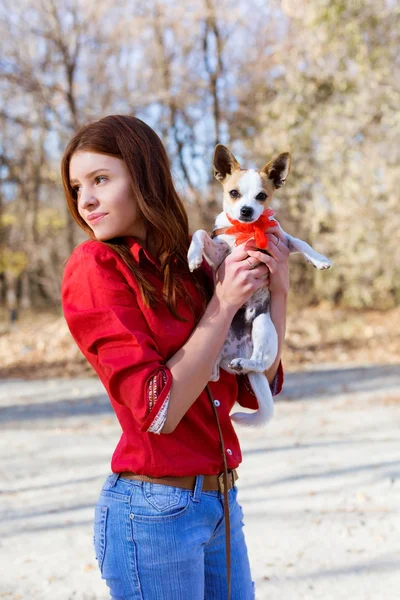 Adolescente chica mostrar su poco perro — Foto de Stock