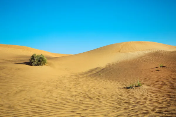 Paisagem do deserto foto — Fotografia de Stock