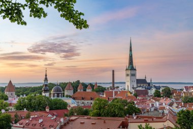 Gün batımında Tallinn 'in Eski Kasabası' nın yüksek panoramik manzarası, sayısız kilise kulelerini, ortaçağ savunma kulelerini, kırmızı kiremitli çatılarını ve yeşil yapraklarla çerçevelenmiş Baltık Denizi 'ni sergiliyor.