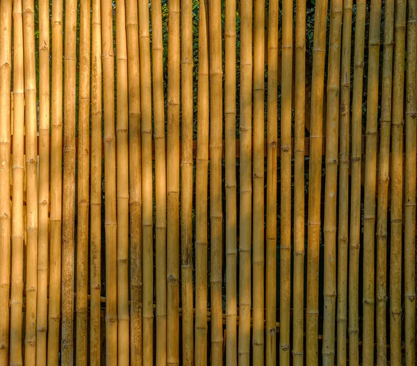 Bambu çit arka planı olarak kullanma — Stok fotoğraf