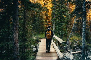 Hiker with Backpack Walks Over a Wooden Bridge in a Forest