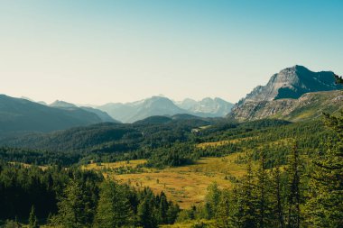 Ormanların ve vadilerin manzarasını gösteren manzaralı dağ manzarası.