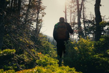 Backpacker in a forest adventure, sunlight filtering through the trees.