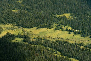 Lush green valley and forest landscape from an aerial perspective.