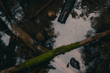 Yosunlu kütükler ve kayalar dereye gömülmüş, karanlık ve kasvetli nehir manzarası. Radyum Kaplıcaları, BC
