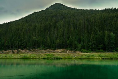 Bereketli orman, huzurlu manzarada zümrüt göl ile buluşur. Bulutlu gökyüzünün altında. Radyum Kaplıcaları, BC
