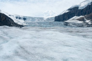 A vast ice field landscape with mountains. Athabasca Glacier, Columbia Icefield, AB