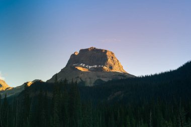 Altında bir orman ve üzerinde açık bir gökyüzü olan sakin bir dağ manzarası. Takakkaw Şelalesi, BC