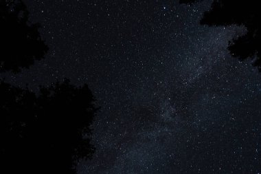 Ağaçların siluetleriyle çerçevelenmiş yıldızlı gece gökyüzünün büyüleyici bir görüntüsü. Takakkaw Şelalesi, BC