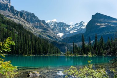 Her yer yemyeşil ormanlarla ve kayalık tepelerle çevrili el değmemiş bir dağ gölü. OHara Gölü, BC