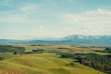 Yuvarlanan yeşil tepeler ve açık mavi gökyüzü manzarasının altındaki uzak dağlar. Pincher Creek, AB