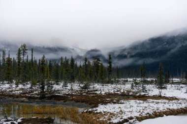 Karlı Dağ Ormanı, M.Ö. Emerald Gölü 'nde sakin ve sisli bir manzara.