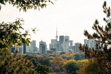 Sonbahar yeşilliklerinin ardında yükselen şehir silueti, doğa şehirle buluşuyor. Toronto, ON