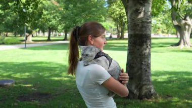 Genç bir kadın, kedi omzunun üstünden bakarken gri bir İngiliz Shorthair kedisini kemerle tutuyor. Yavaş çekim.