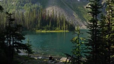 Genç adam Mısır Gölü 'nün kıyısında oturuyor. Alp manzarasının tadını çıkarıyor. Kamera yukarıdaki yüksek dağ zirvesini gösteriyor..