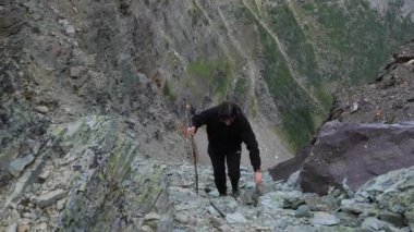 Genç adam Kanada Kayalıkları 'nda dik bir kayalık yamaçta tırmanırken bir yürüyüş sopası kullanır..