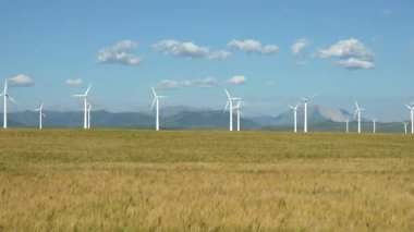 Mavi gökyüzünün altındaki buğday tarlasında, yenilenebilir enerji ve doğa taşıyan sayısız rüzgar türbini dönüyor.