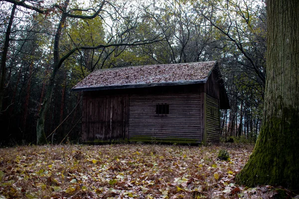 Abandoned Old Scary Grey Ghost Horror House Closeup Building Creepy — Stock Photo, Image