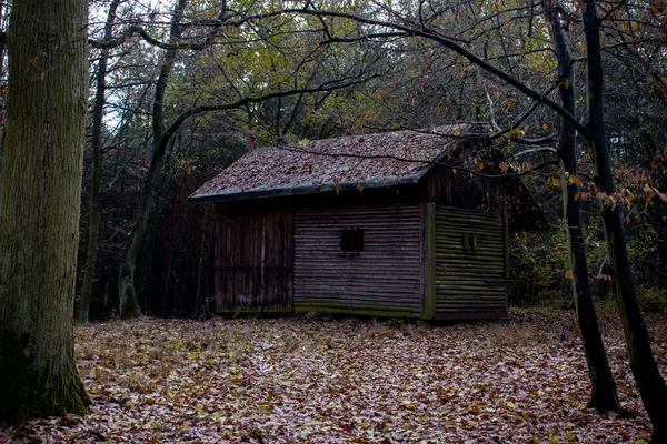 Abandonado Velho Assustador Cinza Fantasma Horror Casa Closeup Edifício Assustador — Fotografia de Stock