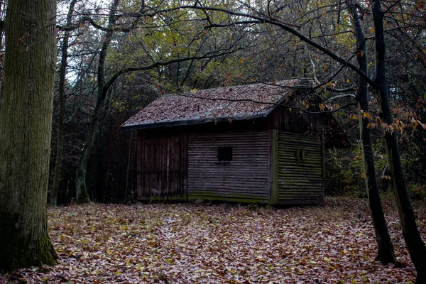 Abandonné Vieux Effrayant Fantôme Gris Horreur Maison Gros Plan Bâtiment — Photo