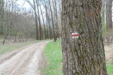 Orman tabelasının yol tarifi. Yaz ağaçlarının Avrupa Çeçen Cumhuriyeti yol haritası yönüne karar verin.