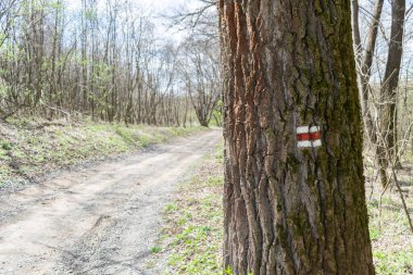 Orman tabelasının yol tarifi. Yaz ağaçlarının Avrupa Çeçen Cumhuriyeti yol haritası yönüne karar verin.