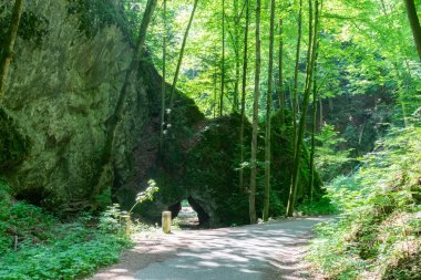 The main subject is out of focus, Moravian Karst, rock hole europe czech republic summer sunny day