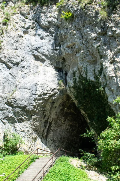Katerinska Jaskinia Temat Główny Jest Nieostry Europa Czechy Wejście Lato — Zdjęcie stockowe