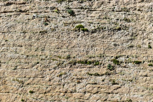 Gul Grov Konsistens Bakgrund Vägg Ljus Sprucken Sten Gammal Yta — Stockfoto