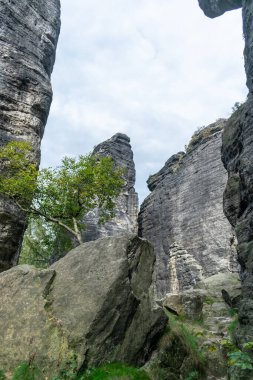 Tisa Avrupa Kayalıkları Avrupa Cumhuriyeti turizm merkezi yaz mevsimi dağ oluşumu kumtaşı duvarlar yaz seyahati