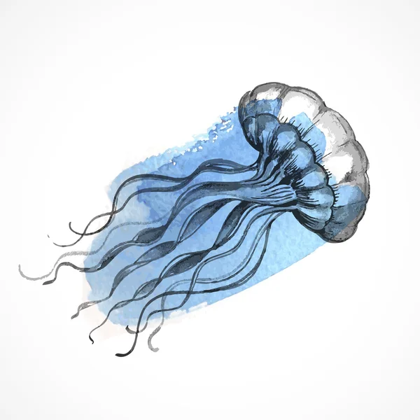 Elle çizilmiş suluboya denizanası — Stok Vektör