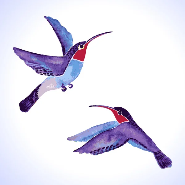 Set acquerello disegnato a mano colibrì — Vettoriale Stock