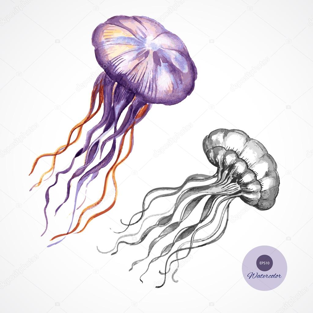 Hand drawn watercolor jellyfish