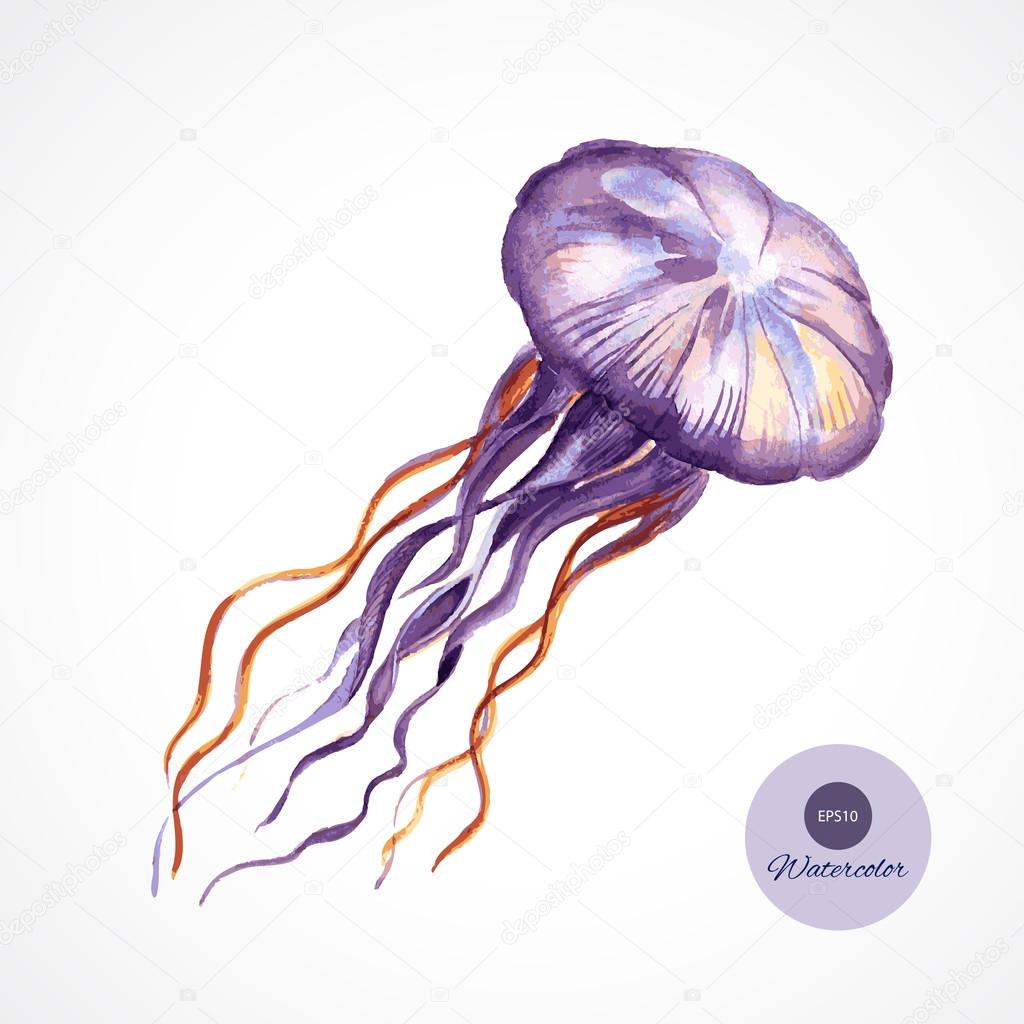 Hand drawn watercolor jellyfish