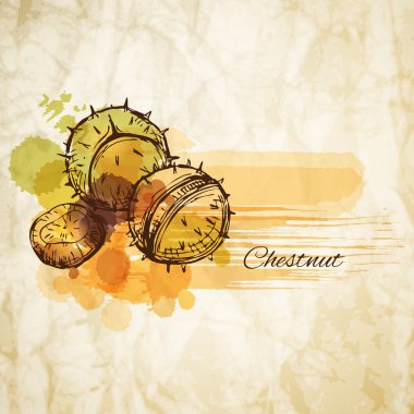 Kestane etiket nokta