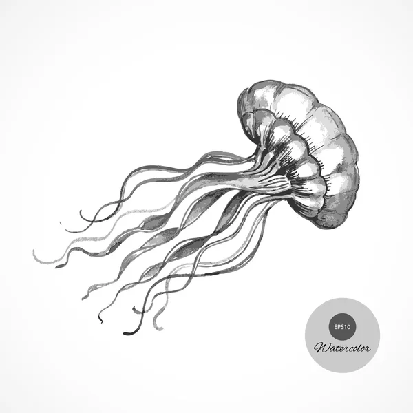 Medusas acuarela dibujadas a mano — Vector de stock