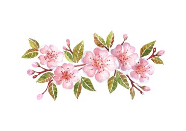 Watercolor cherry branch with flowers