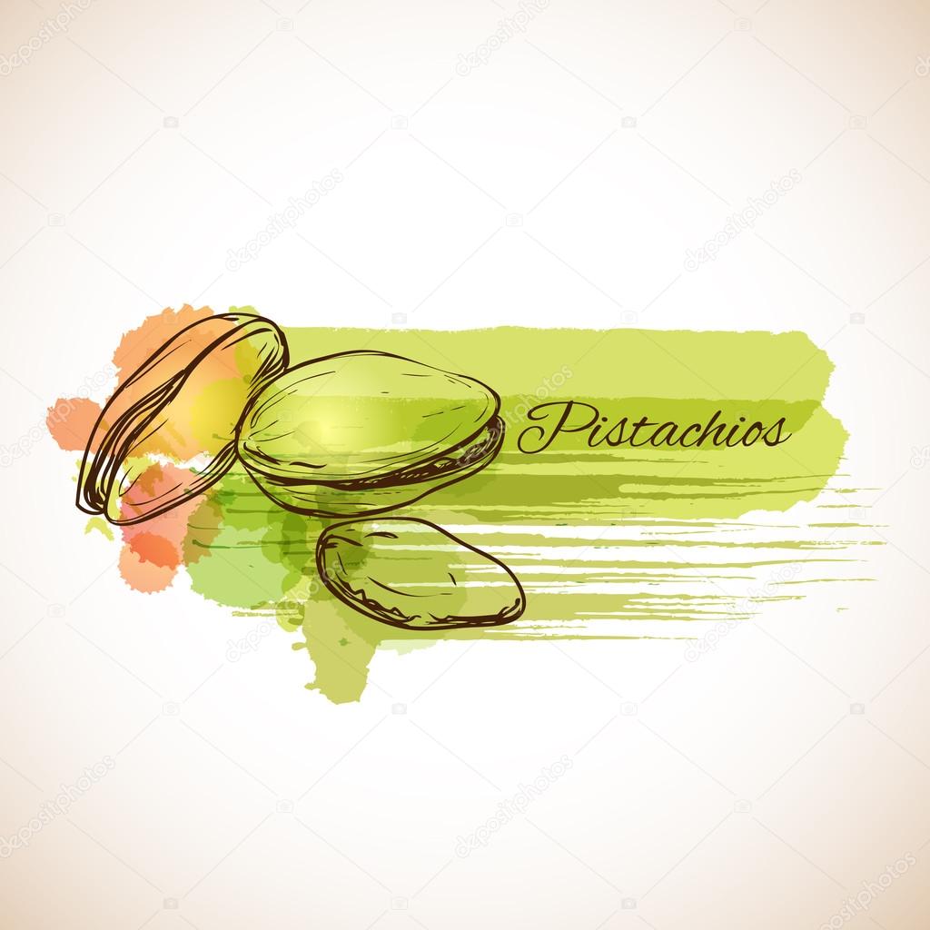 Pistachio label spot Stock Vector Image by ©tatkuptsova 76266181